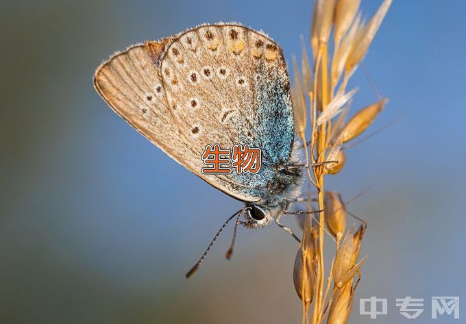 大连理工大学生物医学工程