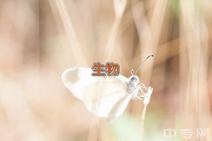 广西生态工程职业技术学院生物技术及应用