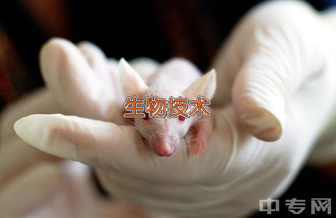 长沙医学院生物技术