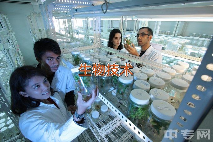 河南科技大学生物工程