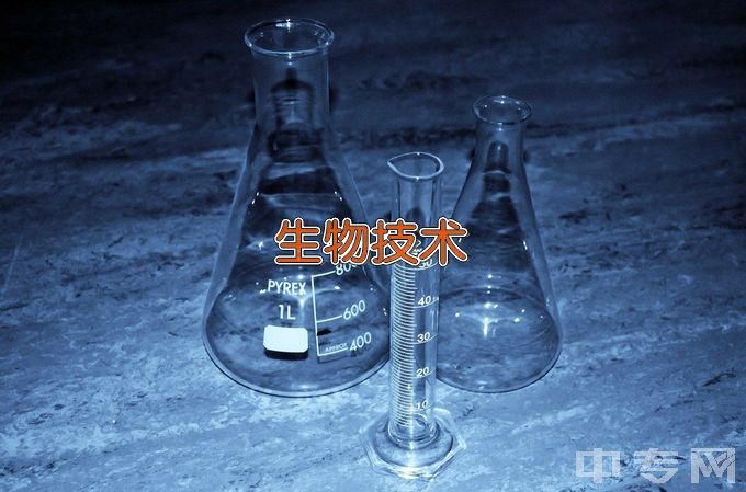 大连理工大学生物工程