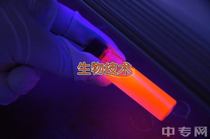 昆明理工大学生物工程