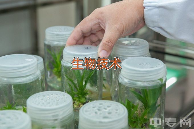 江南大学生物技术