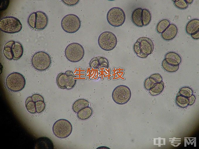 蚌埠医学院生物科学