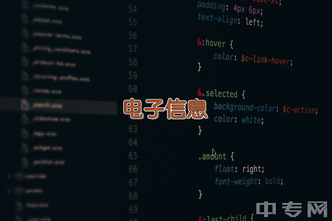 安阳师范学院电子信息工程