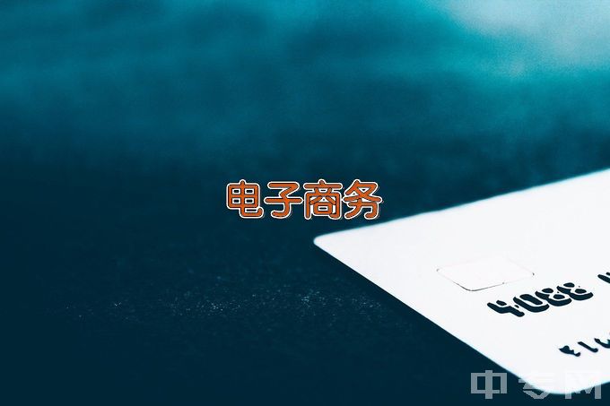 沈阳职业技术学院电子商务