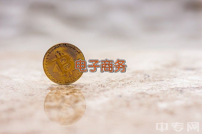 广东信息工程职业学院电子商务