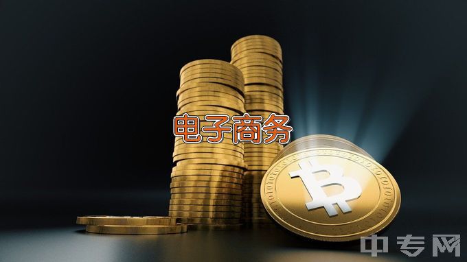 广西金融职业技术学院电子商务