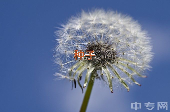 安徽农业大学种子科学与工程