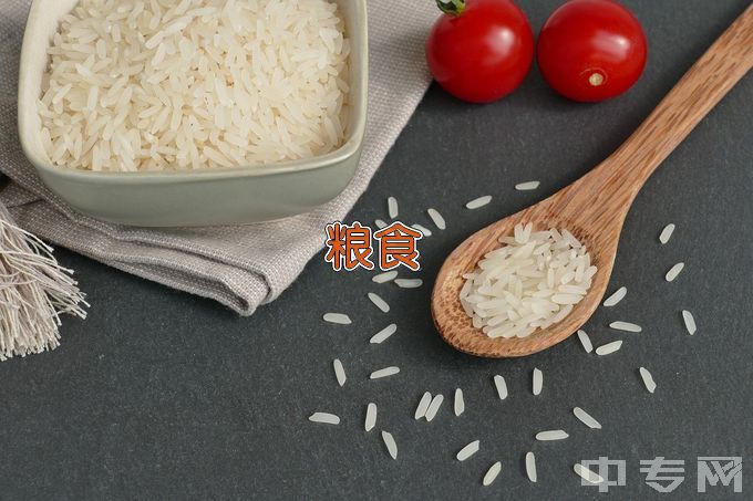 安徽粮食工程职业学院粮食储运与质量安全