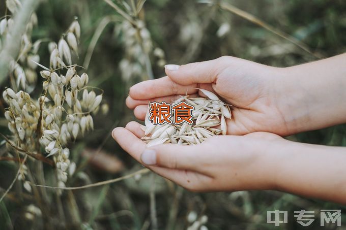 沈阳师范大学粮食工程