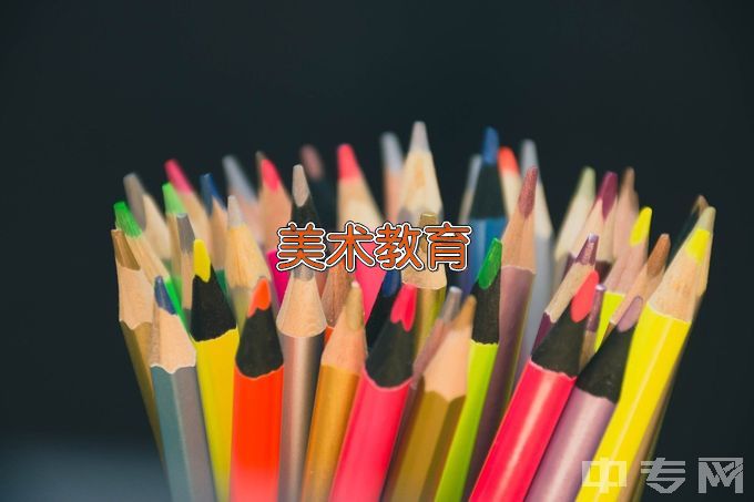 阜阳幼儿师范高等专科学校美术教育