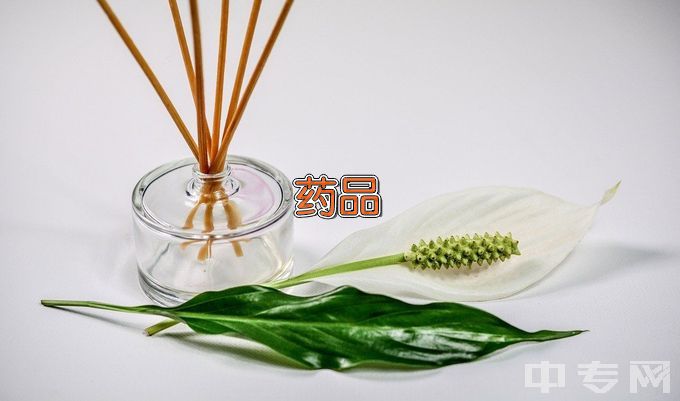 武汉生物工程学院药品生物技术