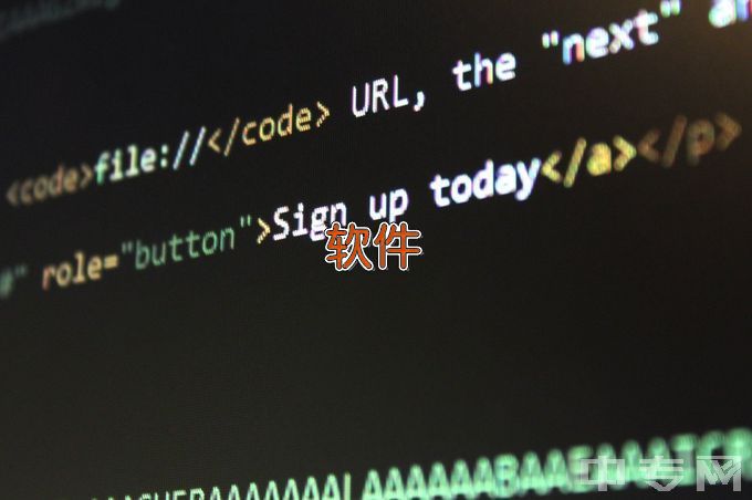 内蒙古电子信息职业技术学院软件技术