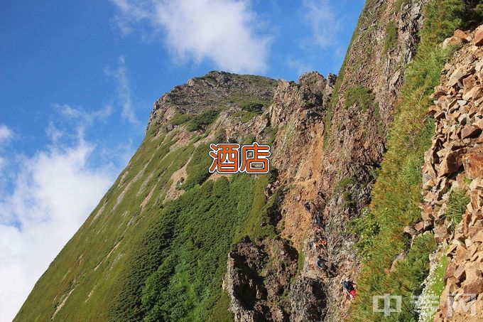 郑州商贸旅游职业学院酒店管理与数字化运营