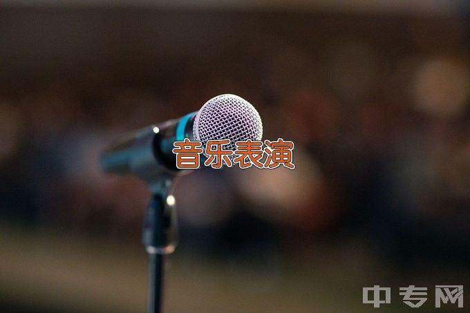 怀化市大鑫艺术职业学校音乐表演