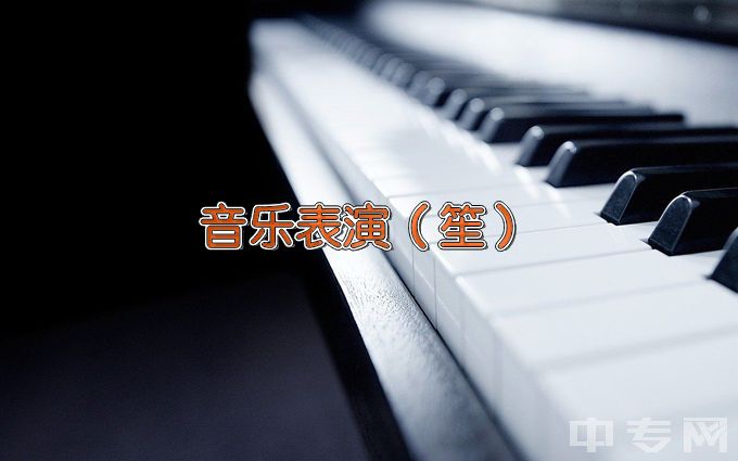 天津音乐学院音乐表演（笙）