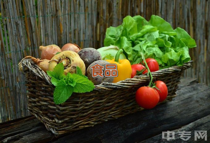 上海震旦职业学院食品营养与检测