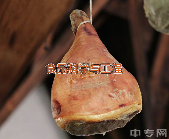 黄冈师范学院食品科学与工程